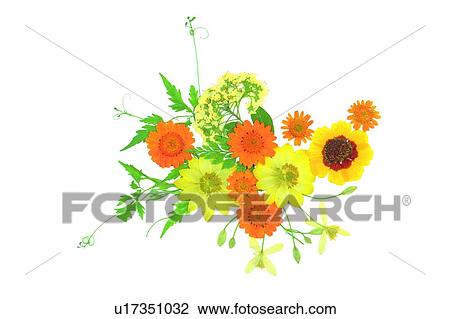Stock Image - plant, orange, yellow, background, flower. Fotosearch