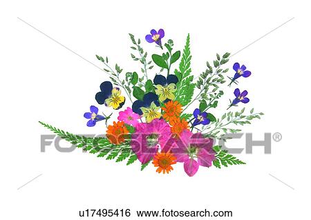 purple, orange, background, plant, green, pink View Large Photo Image Stock Photograph - purple, orange, background, plant, green, pink. Fotosearch