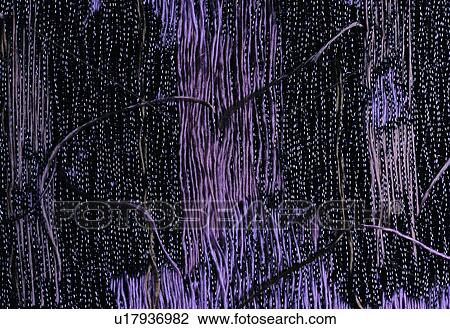 Stock Image - Close-Up, Ideas, Cloth, Material, Print Fabrics. Fotosearch