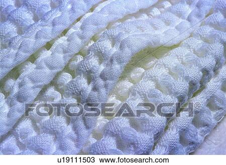 Design, Close-Up, White, Layer, Rippled, Cloth, Folded View Large Photo Image Stock Image - Design, Close-Up, White, Layer, Rippled, Cloth, Folded. Fotosearch