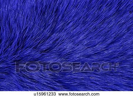 Hair, Fur, Textile View Large Photo Image Stock Image - Hair, Fur, Textile. Fotosearch