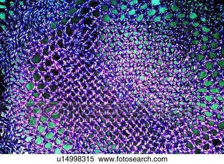 Stock Photography - Textured, Close-Up, Pattern, Full Frame, Net, Purple. Fotosearch