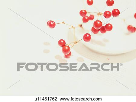 cherry, plate, setting, romantic, fruit, mood View Large Photo Image Stock Image - cherry, plate, setting, romantic, fruit, mood. Fotosearch