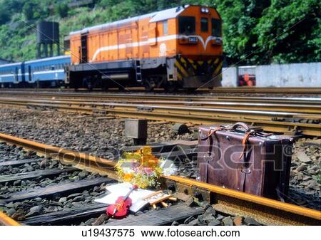 flower, railroad, tree, setting, package, suitcase View Large Photo Image Stock Photography - flower, railroad, tree, setting, package, suitcase. Fotosearch
