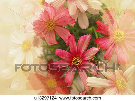flower, romantic, mood, setting, blossom, bouquet View Large Photo Image Picture - flower, romantic, mood, setting, blossom, bouquet. Fotosearch