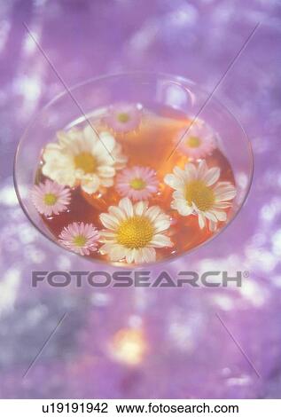 Stock Image - glass, romantic, water, daisy, setting, flower. Fotosearch