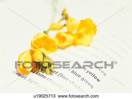 Stock Image - mood, note, blossom, romantic, setting. Fotosearch