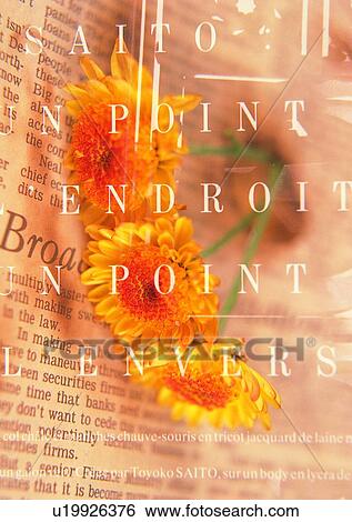 Stock Photograph - mood, setting, text, flower, romantic. Fotosearch