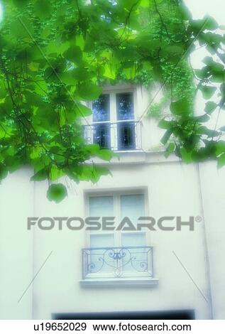 outdoor, Europe, building, balcony, window, tree View Large Photo Image Stock Photo - outdoor, Europe, building, balcony, window, tree. Fotosearch