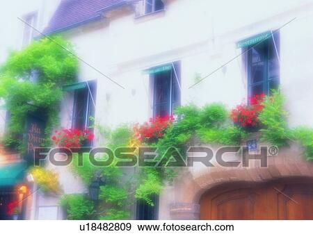 outdoor, soft focus, Europe, flower, building, window View Large Photo Image Stock Photo - outdoor, soft focus, Europe, flower, building, window. Fotosearch