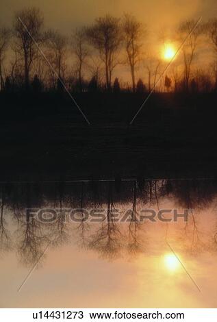 outdoor, soft focus, sunset, river, sun, woods View Large Photo Image Stock Image - outdoor, soft focus, sunset, river, sun, woods. Fotosearch