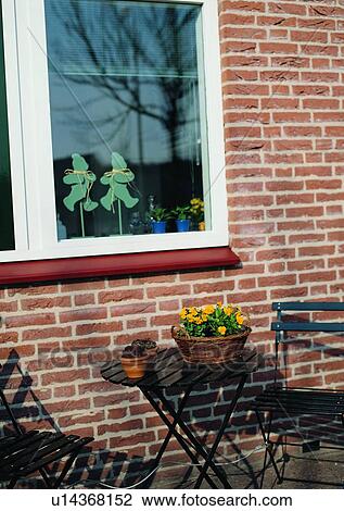 outdoor, wall, window, plant, chair, table View Large Photo Image Stock Image - outdoor, wall, window, plant, chair, table. Fotosearch