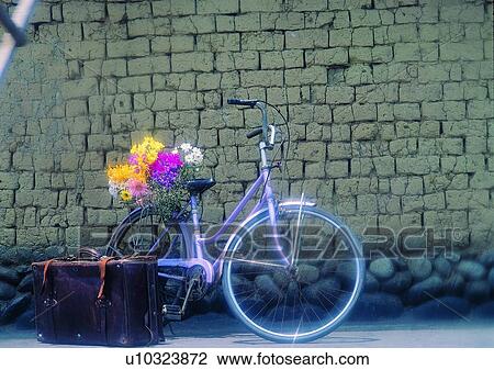Stock Image - plant, flower, bicycle, wall, package, romantic. Fotosearch