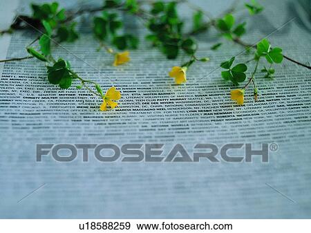 Stock Photo - romantic, flower, text, setting, mood. Fotosearch