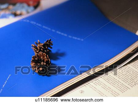 Stock Photograph - romantic, mood, text, note, setting. Fotosearch