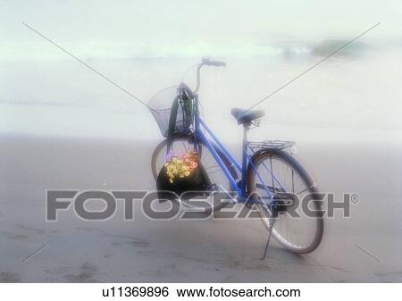 Stock Photograph - romantic, setting, ocean, bicycle, mood, flower, soft focus. Fotosearch