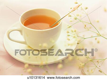 Picture - setting, cup, tea, flower, saucer, spoon. Fotosearch
