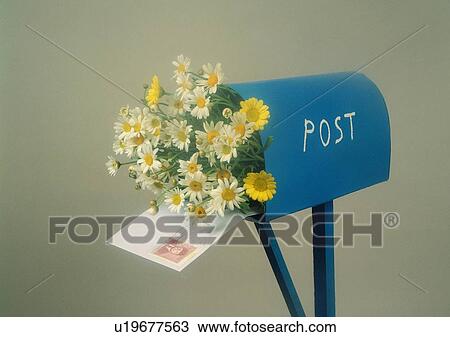 Stock Image - setting, flower, mail box, letter, romantic, mood. Fotosearch