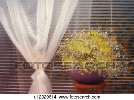 setting, flower, window curtain, screen, romantic, mood View Large Photo Image Picture - setting, flower, window curtain, screen, romantic, mood. Fotosearch