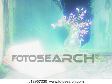 setting, soft focus, window, book, vase, flower View Large Photo Image Stock Image - setting, soft focus, window, book, vase, flower. Fotosearch