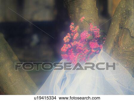 Picture - telephone, tree, setting, soft focus, romantic, trunk, gauze. Fotosearch