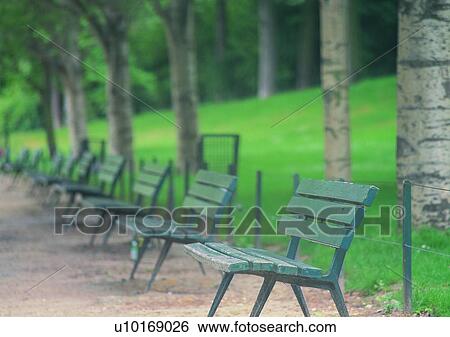 Stock Photograph - tree, road, outdoor, romantic, path, bench, park. Fotosearch