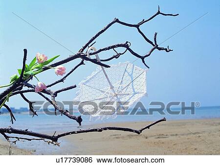 umbrella, ocean, mood, sky, romantic, tree View Large Photo Image Stock Photograph - umbrella, ocean, mood, sky, romantic, tree. Fotosearch