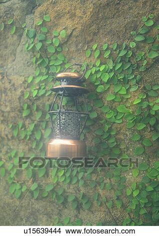 Picture - vine, wall, lamp, leaf, wall, romantic. Fotosearch