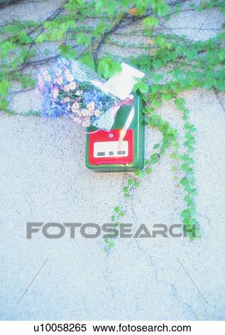 wall, romantic, card, leaf, vine, mail box View Large Photo Image Stock Photography - wall, romantic, card, leaf, vine, mail box. Fotosearch