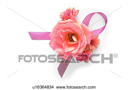 Picture - flower, leaf, plant, rose, ribbon, yellow. Fotosearch