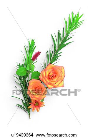 flower, rose, plant, leaf, yellow View Large Photo Image Picture - flower, rose, plant, leaf, yellow. Fotosearch