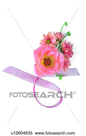 plant, flower, leaf, rose, ribbon, pink View Large Photo Image Stock Photography - plant, flower, leaf, rose, ribbon, pink. Fotosearch