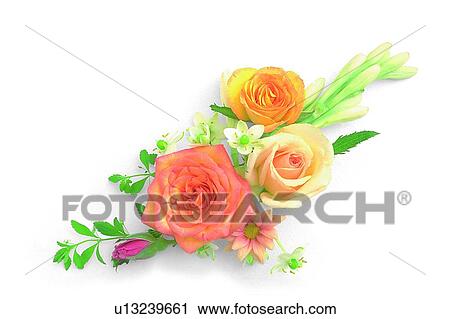 Stock Image - plant, flower, leaf, rose, yellow. Fotosearch