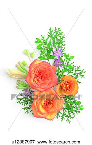plant, flower, leaf, rose, yellow View Large Photo Image Stock Photo - plant, flower, leaf, rose, yellow. Fotosearch