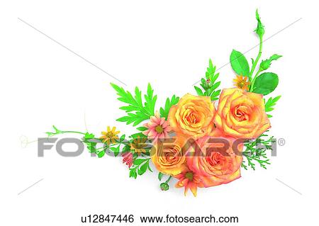 Stock Photograph - plant, flower, leaf, rose, yellow. Fotosearch