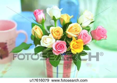 cup, light, leaf, vase, flower, rose View Large Photo Image Stock Photo - cup, light, leaf, vase, flower, rose. Fotosearch