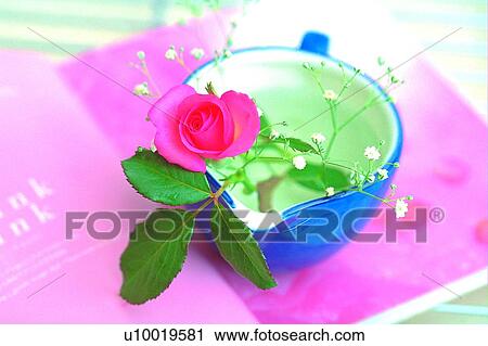 flower, light, book, tea cup, plant, rose View Large Photo Image Stock Image - flower, light, book, tea cup, plant, rose. Fotosearch