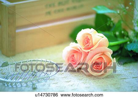 flower, light, leaf, soap stand, plant, table View Large Photo Image Stock Photograph - flower, light, leaf, soap stand, plant, table. Fotosearch