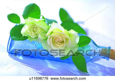 Stock Photograph - glass bottle, leaf, yellow, plant, sun light, rose, flower. Fotosearch
