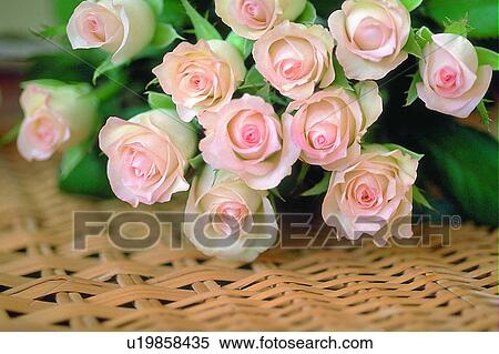 Stock Photography - leaf, basket, rose, light, pink, flower. Fotosearch