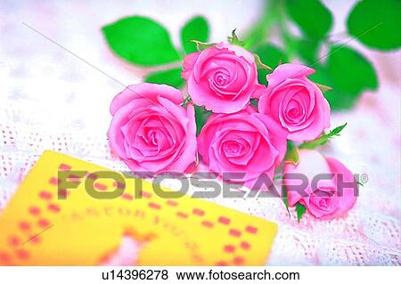 Stock Photo - leaf, book, rose, flower, light, table cloth. Fotosearch