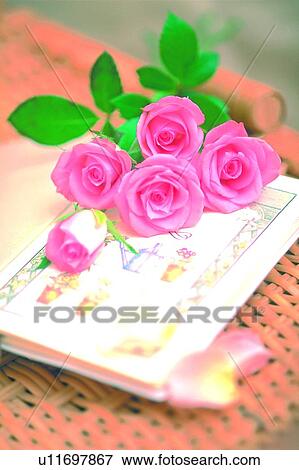 Stock Photo - leaf, flower, rose, basket, plant, light, card. Fotosearch