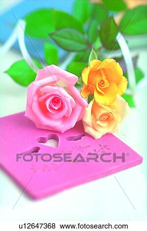 leaf, frame, light, table, rose, flower View Large Photo Image Stock Photo - leaf, frame, light, table, rose, flower. Fotosearch