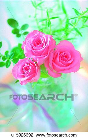 Stock Image - light, glass bowl, rose, leaf, table, flower. Fotosearch