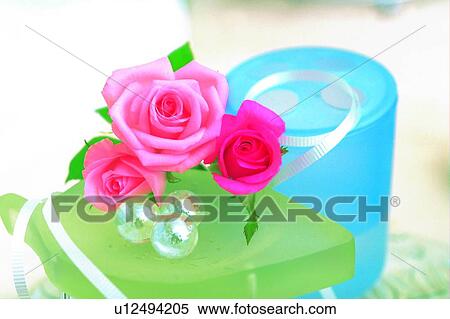 light, rose, decoration, green, plant, marble, flower View Large Photo Image Stock Photography - light, rose, decoration, green, plant, marble, flower. Fotosearch