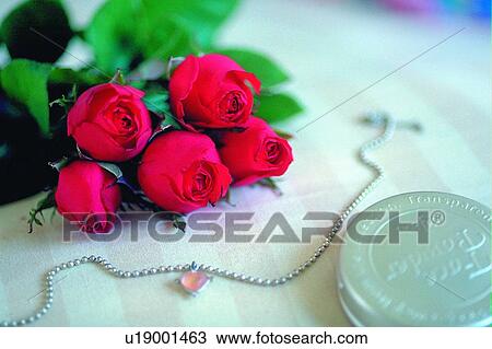 plant, flower, leaf, bouquet, pillow, red, iron box View Large Photo Image Stock Image - plant, flower, leaf, bouquet, pillow, red, iron box. Fotosearch