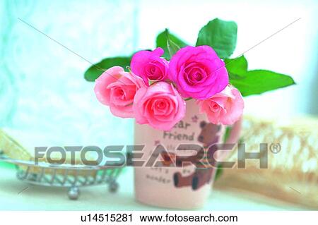 plant, flower, rose, leaf, light, cup View Large Photo Image Stock Image - plant, flower, rose, leaf, light, cup. Fotosearch