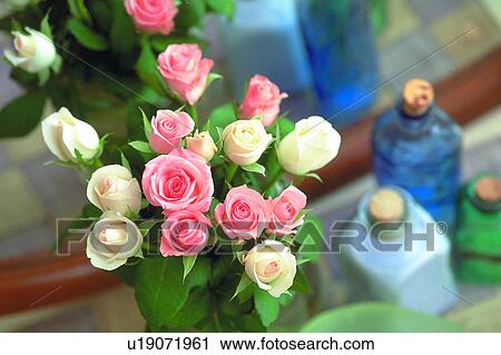 Stock Image - plant, flower, rose, leaf, light, glass bottle. Fotosearch