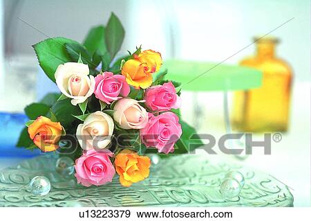 plant, flower, rose, leaf, light, glass bottle View Large Photo Image Stock Photo - plant, flower, rose, leaf, light, glass bottle. Fotosearch