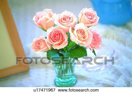 plant, flower, rose, leaf, light, glass View Large Photo Image Stock Photo - plant, flower, rose, leaf, light, glass. Fotosearch